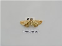 藏品(尺蛾290)的圖片